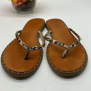 Tahari Snakeskin Flip Flop Size 10 FFT6404G